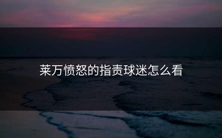 莱万愤怒的指责球迷怎么看