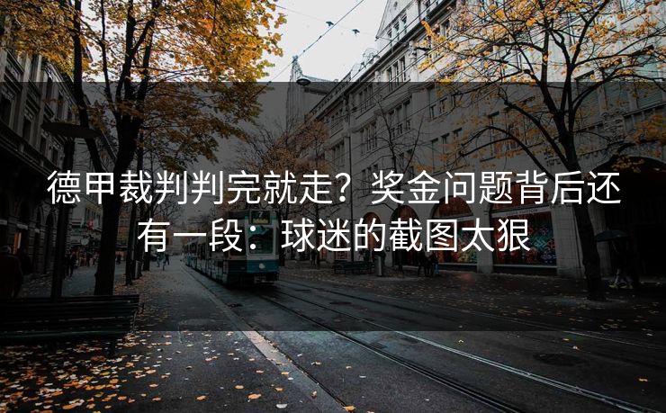 德甲裁判判完就走？奖金问题背后还有一段：球迷的截图太狠