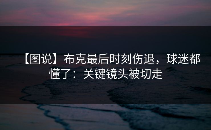 【图说】布克最后时刻伤退，球迷都懂了：关键镜头被切走